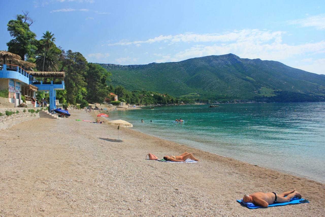 Apartments And Rooms With Parking Space Orebic, Peljesac - 10191 Dış mekan fotoğraf